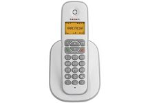 Радиотелефон TEXET TX-D4505A бело-серый